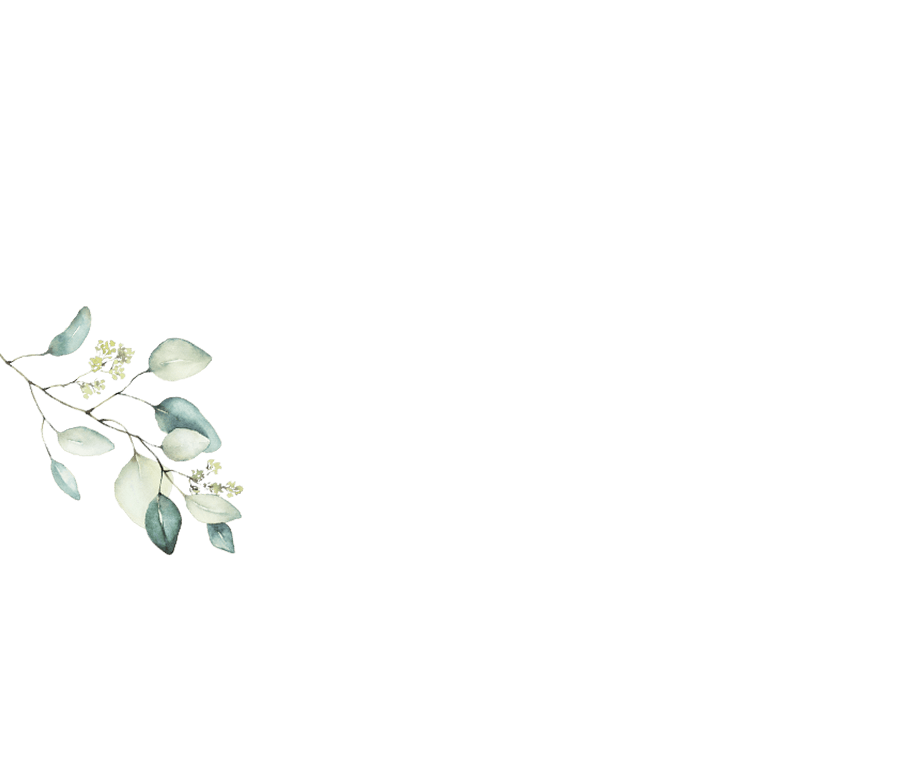 shape